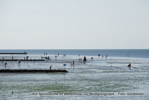 Weltnaturerbe Wattenmeer